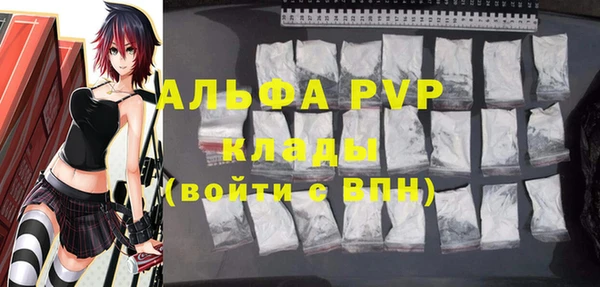 гашик Алексин