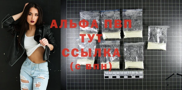 гашик Алексин