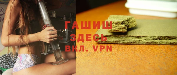 гашик Алексин