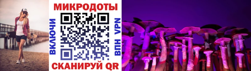 цена   Раменское  Псилоцибиновые грибы Cubensis 